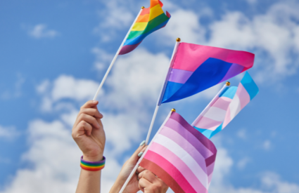 LGBTQ Pride flags